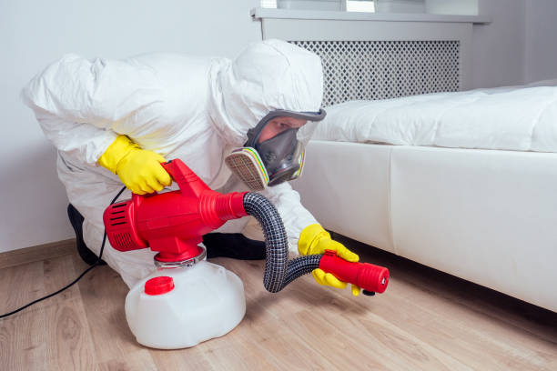 Best Pest Prevention Services  in Gorman, NC